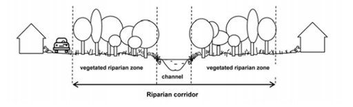 Figure-C12-03-Vegetated-riparian-buffers-and-corridors